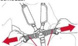 BOB Gear Revolution Flex 3.0 Duallie - Apretar las hebillas - 1