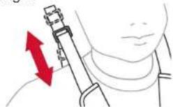 BOB Gear Revolution Flex 3.0 Duallie - Securing the Child in the Seat - 3