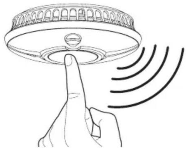 ANGELEYE WST-AE-630-BNLR - ALARMTEST - 1