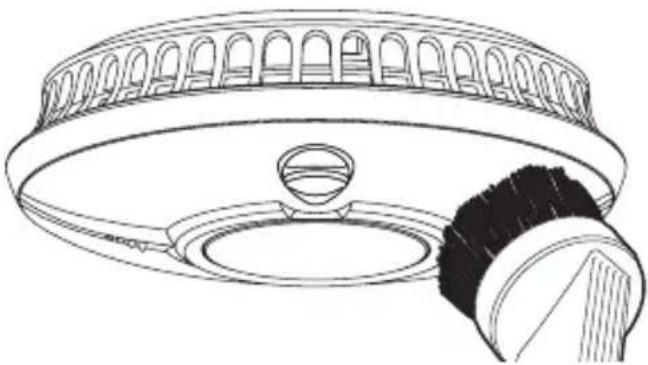 ANGELEYE WST-AE-630-BNLR - Reinigen - 1