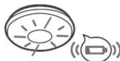 ANGELEYE SB5-TP-AE-BNLR - SIGNAL DE PILE FAIBLE - 3