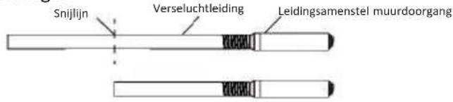 OLIMPIA SPLENDID Alysea E - Maak de lengte korter - 1