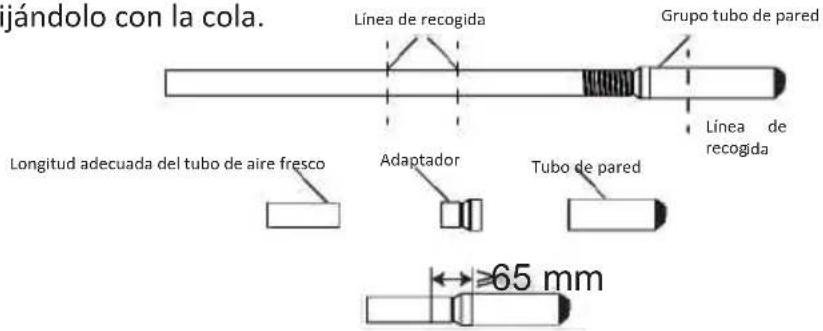 OLIMPIA SPLENDID Alysea E - Acortar la longitud - 2