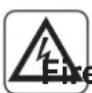OLIMPIA SPLENDID Phenix E - WHEN USING ELECTRICAL EQUIPMENT, BASIC SAFETY PRECAUTIONS MUST ALWAYS BE FOLLOWED IN ORDER TO REDUCE RISKS OF FIRE, ELECTRIC SHOCKS AND INJURY, INCLUDING THE FOLLOWING: - 14
