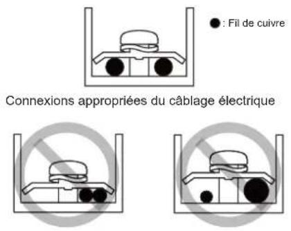 : Fil de cuivre Connexions appropriées du câblage électrique