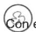 OLIMPIA SPLENDID Seccoprof 30 P - Tasto - - 1