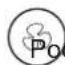 OLIMPIA SPLENDID Seccoprof 30 P - Przycisk - - 1