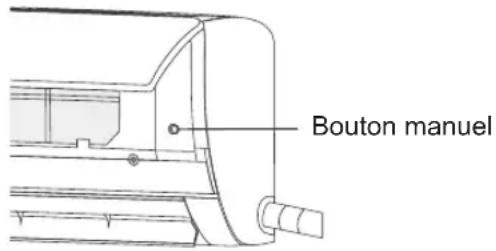 Bouton manuel