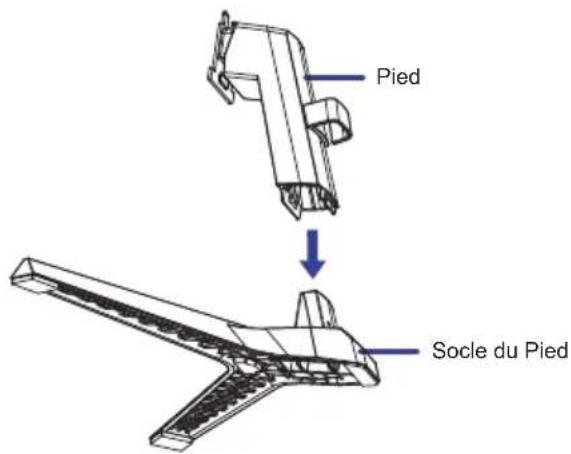 Pied Socle du Pied