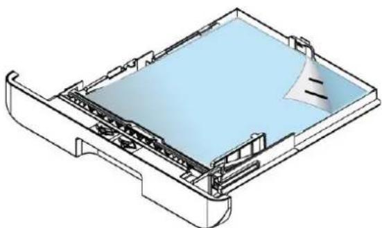 AVISION AM40A - Chargement du bac d'alimentation principal - 8