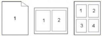 AVISION AM40A - L'onglet Mise en page - 2