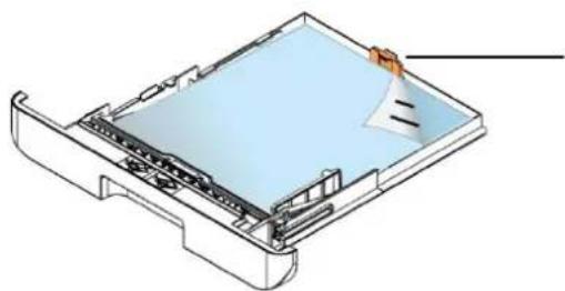 AVISION AM40Q - Chargement du bac d'alimentation principal - 9