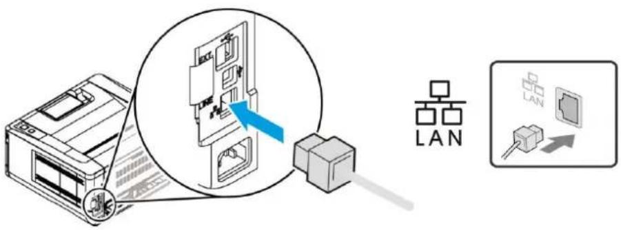 AVISION AP33 - Connexion à un ré seau câ blé - 2