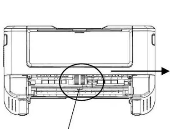 AVISION AP33 - Nettoyage des capteurs de papier - 1