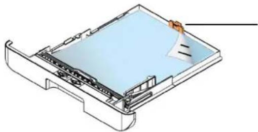 AVISION AP33 - Chargement du bac d'alimentation principal - 9