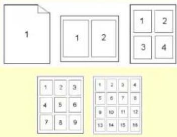 AVISION AP33 - L'onglet Mise en page - 2