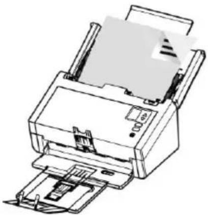 AVISION AD360GWN - Numé riser du papier fin - 3