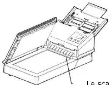 AVISION AD380F - Libé rez le Verrou de transport - 2