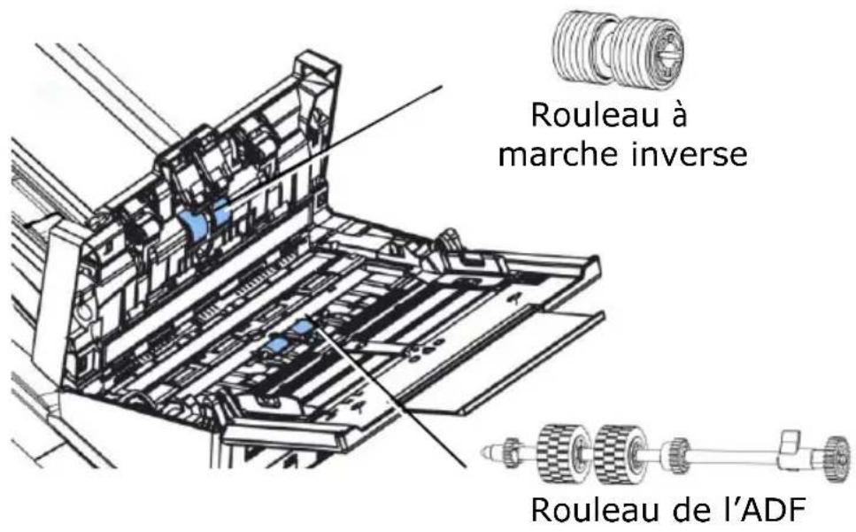AVISION AD380FN - É lé ments amovibles - 1