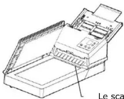 AVISION AD380FN - Libé rez le Verrou de transport - 2
