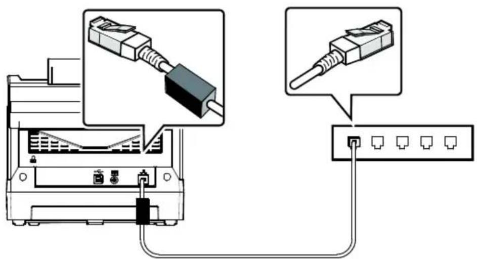 AVISION AD370FWN - Connexion à un câble réseau - 2