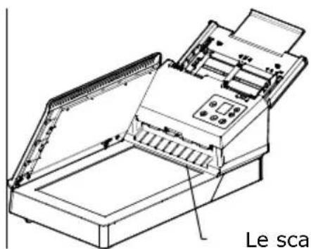 AVISION AD3100FWN - Libé rez le Verrou de transport - 2
