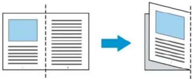 AVISION AD6090N - Pour les documents plus grands que le format A4/lettre, comme A3 - 1