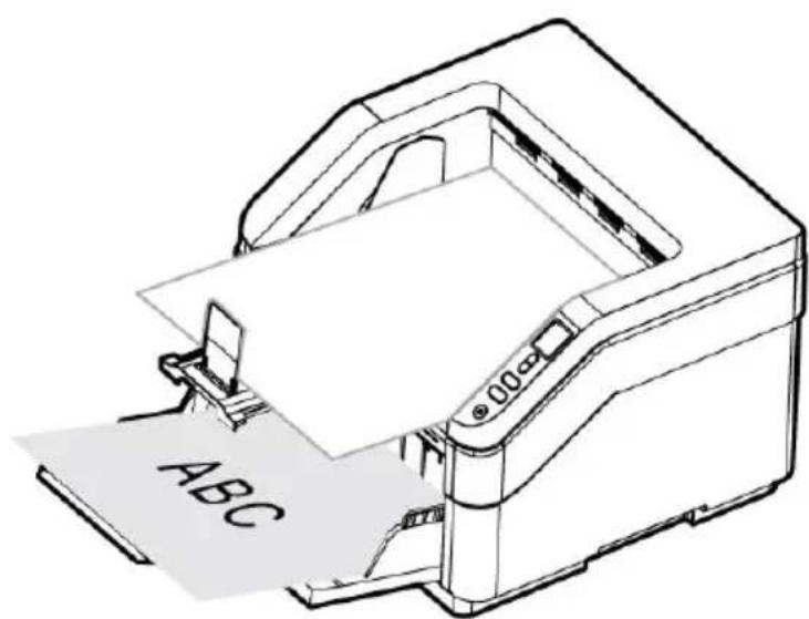 AVISION AD8130UN - Alimentation en documents - 5