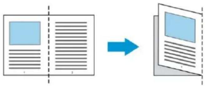 AVISION AD8130UN - Pour les documents plus grands que le format A4/lettre, comme A3 - 1