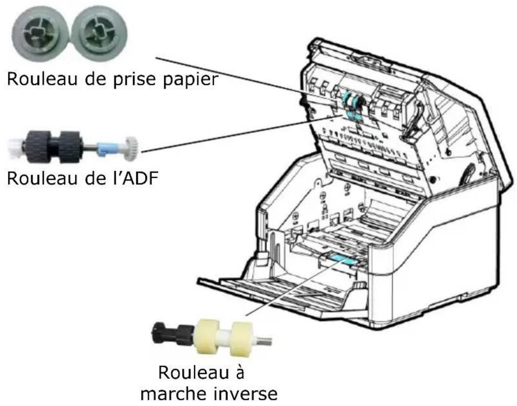 AVISION AD8130UN - É léments amovibles - 1