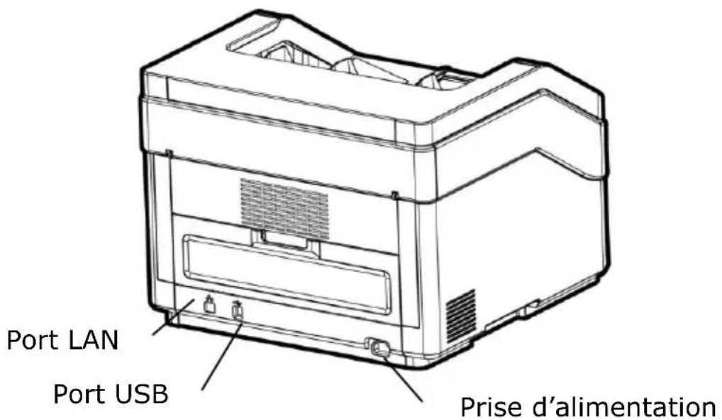 AVISION AD8120UN - Vue de derrière re - 1