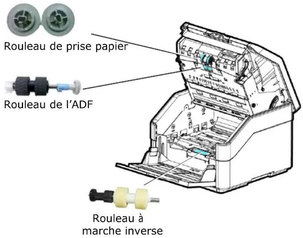 AVISION AD8120UN - É lé ments amovibles - 1