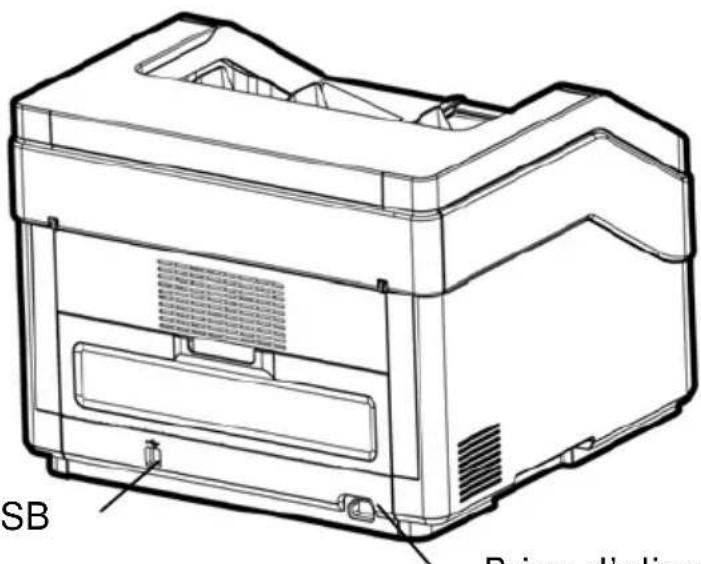 AVISION AD8120P - Vue de derrière - 1