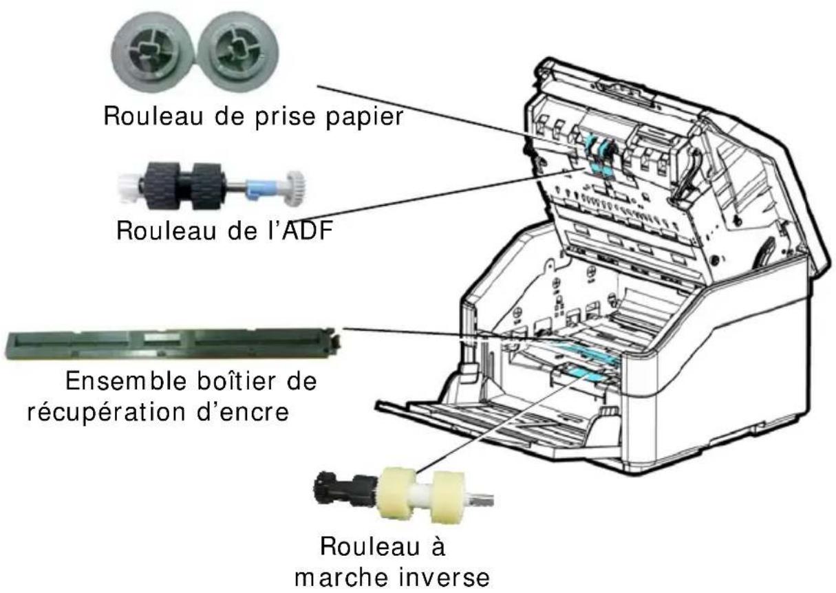 AVISION AD8120P - Éléments amovibles - 1