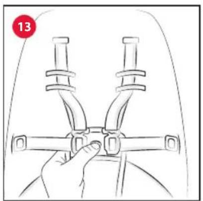 CHICCO Glee - 26