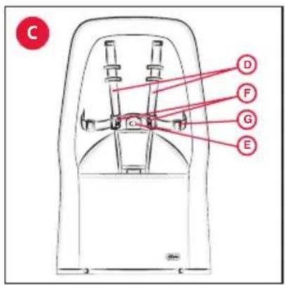 CHICCO Glee - 8