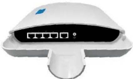 Intellinet 509220 - Connessioni - 1