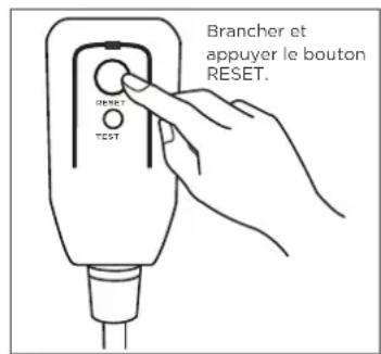 Brancher et appuyer le bouton RESET. DRENT TEST