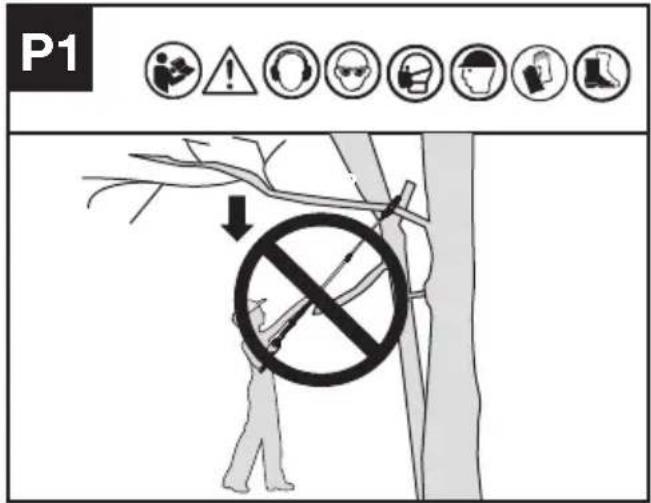 KRESS KC330.9 - CUTTING HIGH BRANCHES - 1