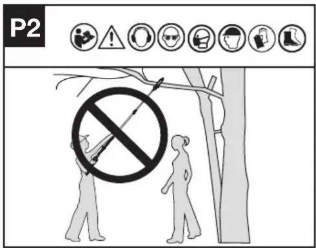 KRESS KC330.9 - TĂIEREA RAMURILOR ÎNALTE - 2