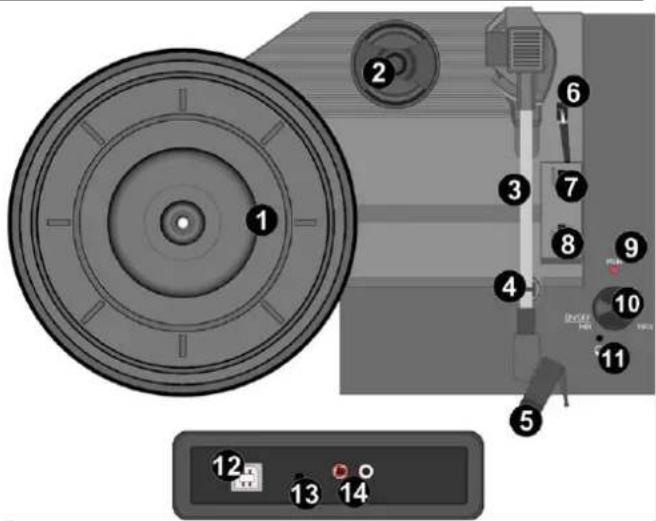 Audizio RP114 - CÓMO EMPEZAR - 1