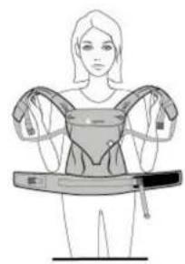 Ergobaby Easy Snug - HOW TO ATTACH THE CARRIER WAISTBAND - 1