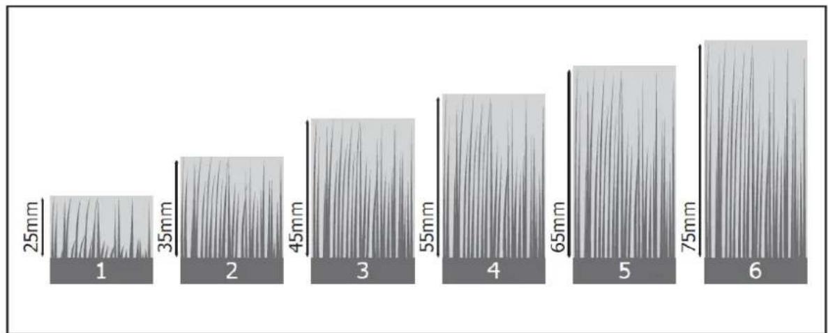 Fuxtec FX-E2RM46 - Setting the cutting height - 2