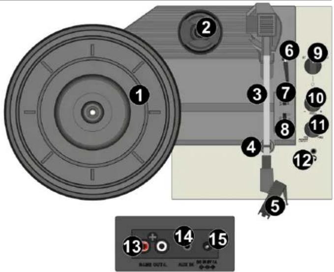 Audizio RP119 - CONTROLS AND CONNECTIONS - 1