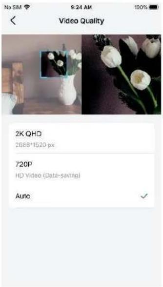 TP-LINK Tapo TC41 - Patrol Mode - 5