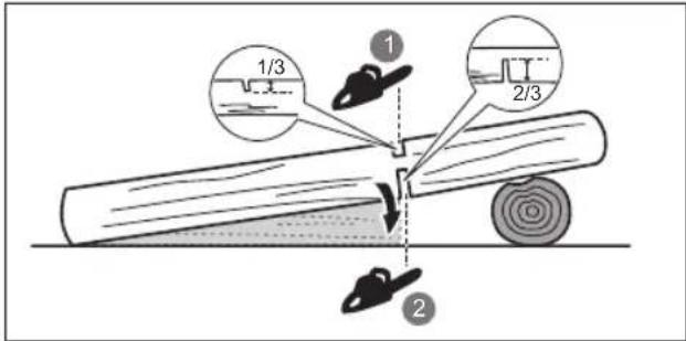 RYOBI One+ RY18CS20A - EINEN BAUMSTAMM ABLÄNGEN - 2