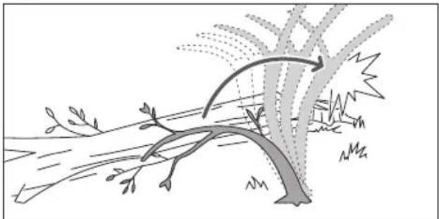 RYOBI One+ RY18CS20A - TAGLIARE RAMI DA UN ALBERO ABBATTUTO - 2