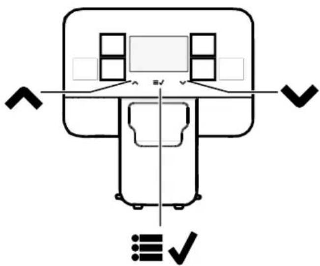 SAECO Royal Plus - PLUS - 167