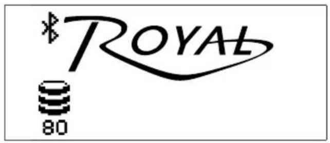 SAECO Royal BLACK - BLACK - 206