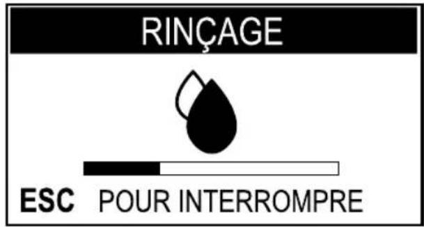 SAECO Aulika Evo Focus - Chauffage et rinçage - 3